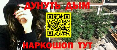 крисы Брянск
