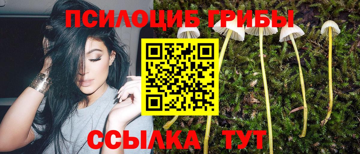 Псилоцибиновые грибы Psilocybine cubensis  Галлюциногенные грибы Cubensis  хочу наркоту  Орехово-Зуево  Вход с VPN 