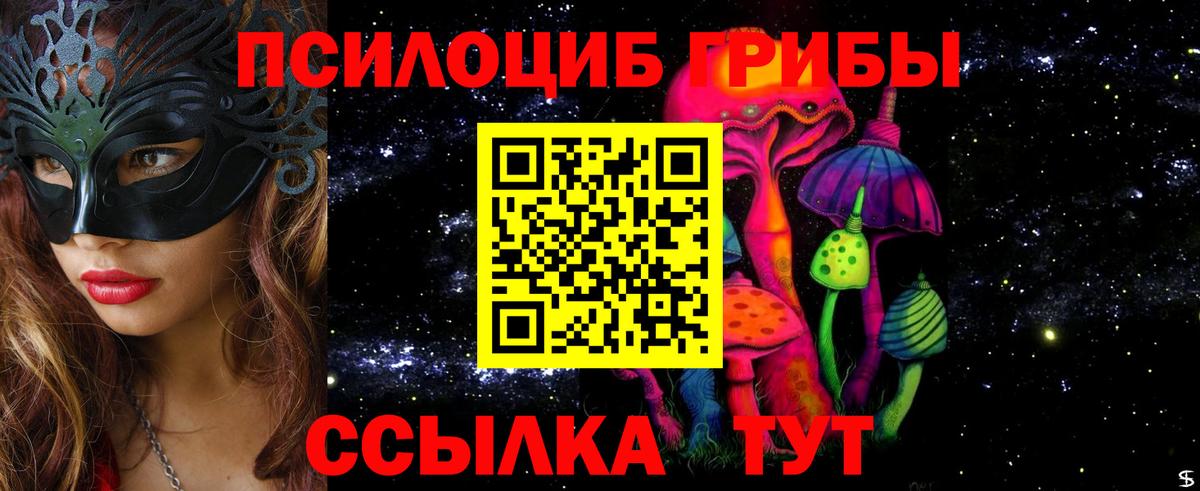 Псилоцибиновые грибы Cubensis Орехово-Зуево